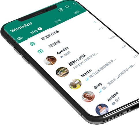 whatsapp business